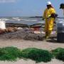 2048px-hse_workers_clean_up_port_fourchon_beach_2010-05-23.jpg